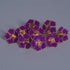 Pure Silver Enamel Purple Colour Flowers 18G (Pack Of 10)