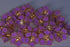 Pure Silver Enamel Violet Color Flowers 18G (Pack Of 10)