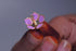 Pure Silver Enamel Violet Color Flowers 18G (Pack Of 10)
