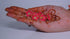 Pure silver Enamel red flowers 18G (Pack Of 10) (MSKU: SKU: 900961)