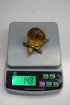 Brass Tortoise Glass Showpiece 148g