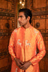 Kzari Regal Metallic Gold Horse Indowestern