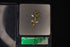 Pure Silver Gold Plated Brooch 6.17g