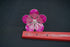 Pure Silver Light Pink Small Flower 9g