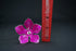 Pure Silver Dark Pink Small Flower 12g
