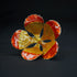 Pure Silver Yellow And Orange Flower 22g