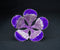 Pure Silver Pink Purple Big Flower 23g