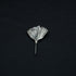 Pure Silver Shank Flowers 3g