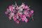 Pure Silver Pink Flowers 5g (Pack of 5)
