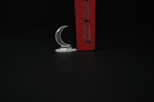 Pure Silver Moon Idol 10.38grams