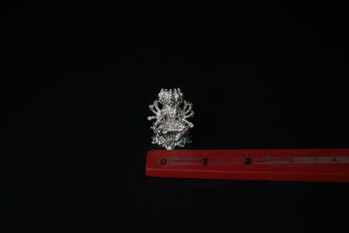 Pure Silver Gayathri Devi Idol 54.42 grams