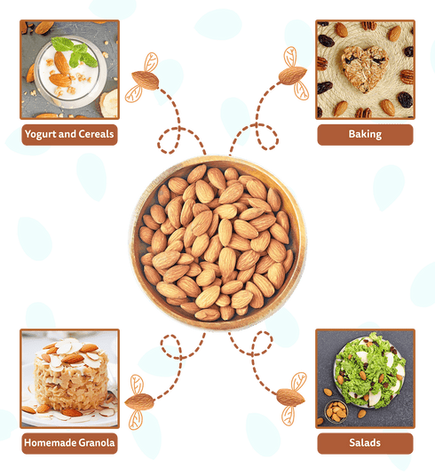 Fabeato Natural Premium Dry Fruits Combo 1500gm