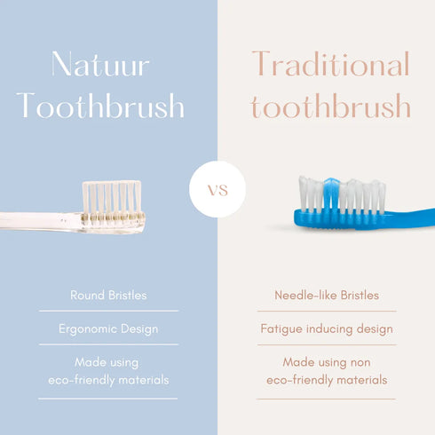 Natuur Daito Tooth Brush CLAIRE (Made in Japan)