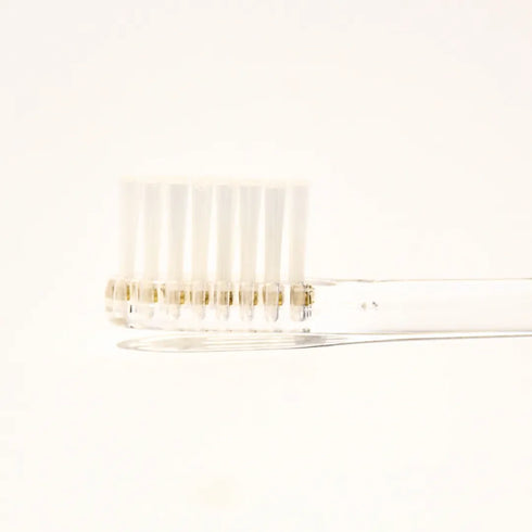 Natuur Daito Tooth Brush CLAIRE (Made in Japan)