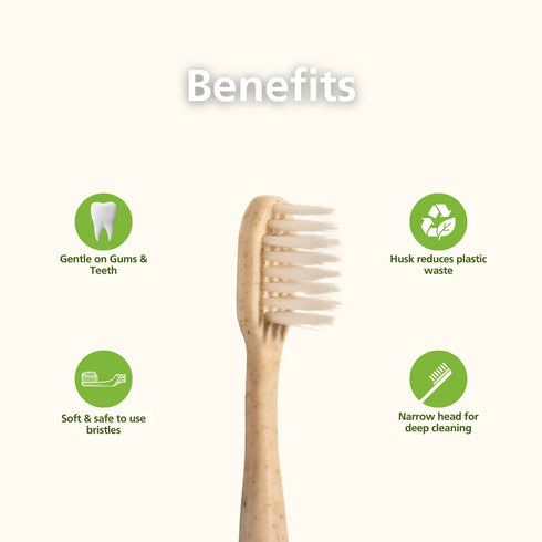 Natuur Daito Tooth Brush Y HUSK (Made in Japan)