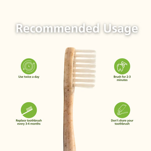 Natuur Daito Tooth Brush Y HUSK (Made in Japan)