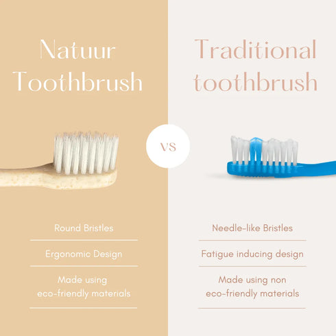 Natuur Daito Tooth Brush Transparent (Made in Japan)