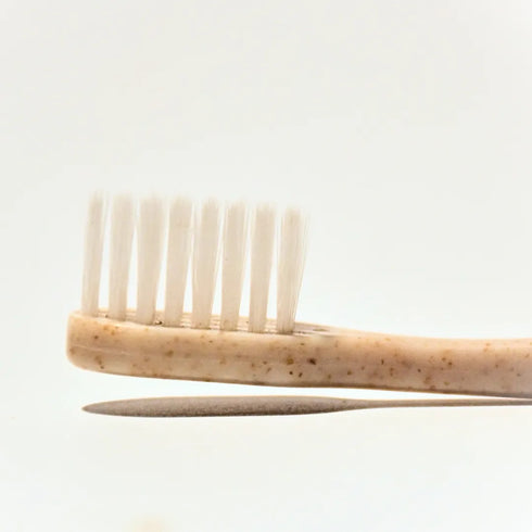 Natuur Daito Tooth Brush Transparent (Made in Japan)