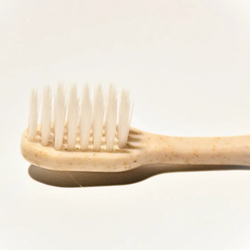 Natuur Daito Tooth Brush Transparent (Made in Japan)