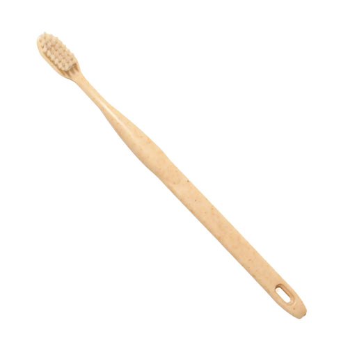 Natuur Daito Tooth Brush Transparent (Made in Japan)