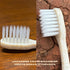 Natuur Daito Tooth Brush Transparent (Made in Japan)
