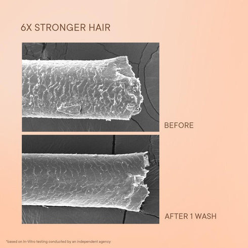 Quench Damage Repair Shampoo with Quinoa Protein