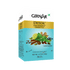 Girnar Detox Green Tea Desi Kahwa
