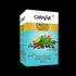 Girnar Detox Green Tea Desi Kahwa