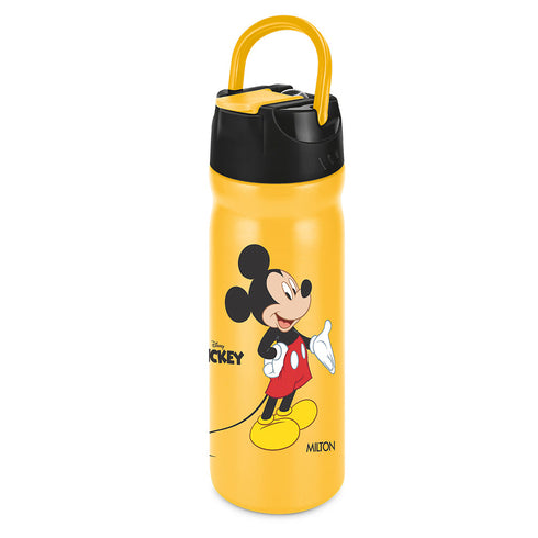 Milton Disney Max Bottle