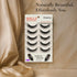 Shills Professional Eyelash 5 Pair