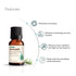 Vasuestore Vasu Aromatics Eucalyptus Essential Oil 100 Pure and Natural