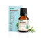 Vasuestore Vasu Aromatics Eucalyptus Essential Oil 100 Pure and Natural
