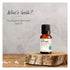 Vasuestore Vasu Aromatics Eucalyptus Essential Oil 100 Pure and Natural