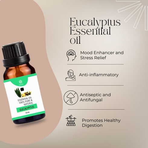 Natuur eucalyptus essential oil