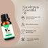 Natuur eucalyptus essential oil