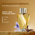 Ajmal Perfumes India Fasety Perfume for Women