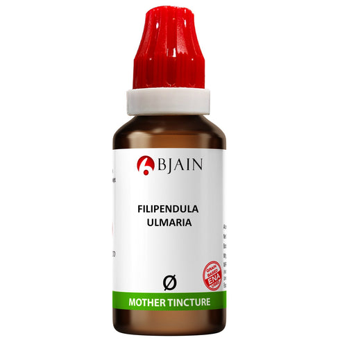 Bjain Filipendula Ulmaria Q Mother Tincture