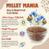 Millet Mania Flax Seeds
