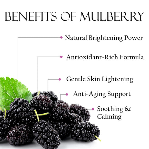 Shills Professional Mulberry Fruit Face Sheet Mask