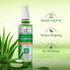 Colors Queen Aloe Styling Hair Spray | 200 ML