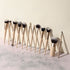 Milagro Beauty Face The Makeup 12 pcs Face brush set + Case