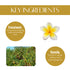 Natuur Facial Mist Frangipani and Kewda Anti Oxidant
