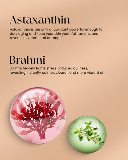 Suyu India Astaxanthin Firm & Lift Night Cream