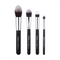 Dazller Cosmetics Eterna Radiate Brush Kit