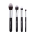 Dazller Cosmetics Eterna Radiate Brush Kit