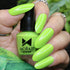 Moraze Cosmetic Mini Nail Polish