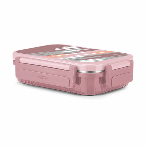 Milton Fun Feast Lunch Box 2 compartments
