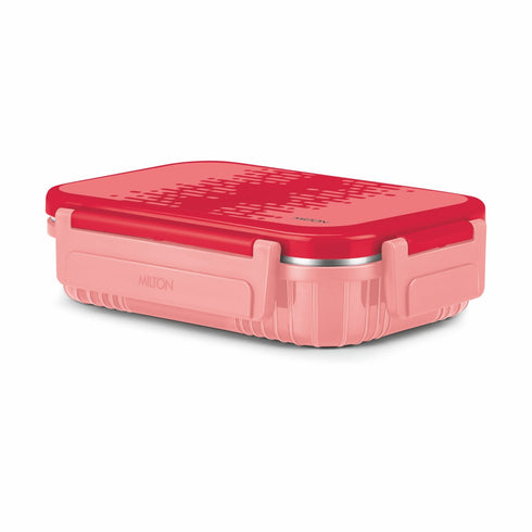 Milton Fun Feast Lunch Box 2 compartments