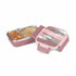 Milton Fun Feast Lunch Box 2 compartments