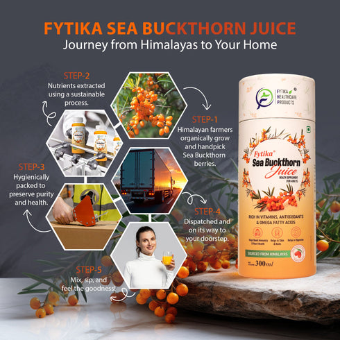 Fytika Healthcare Products Fytika Sea Buckthorn Juice Pulp Concentrate